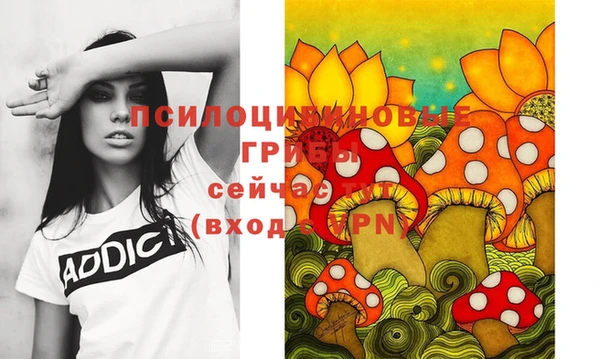 дживик Богданович