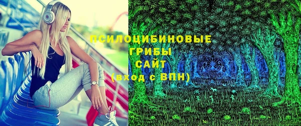 дживик Богданович