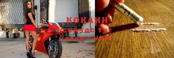 дживик Богданович