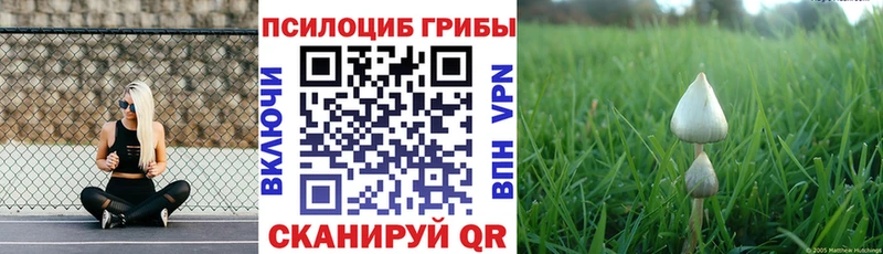 Псилоцибиновые грибы Magic Shrooms  OMG tor  Харабали 